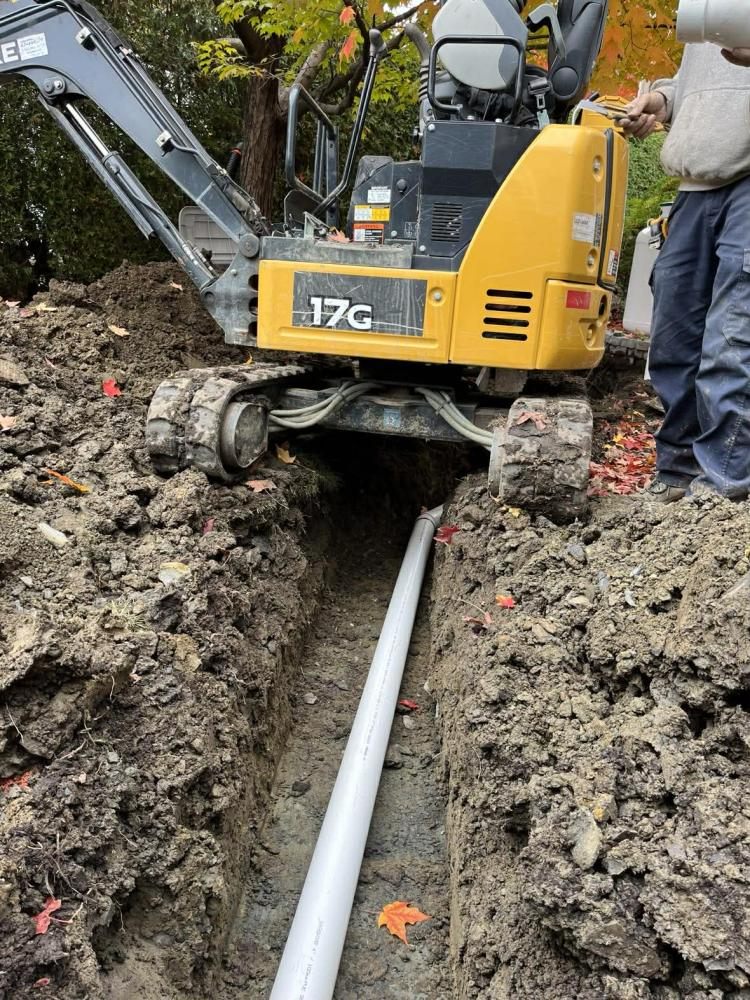Drainage (20)